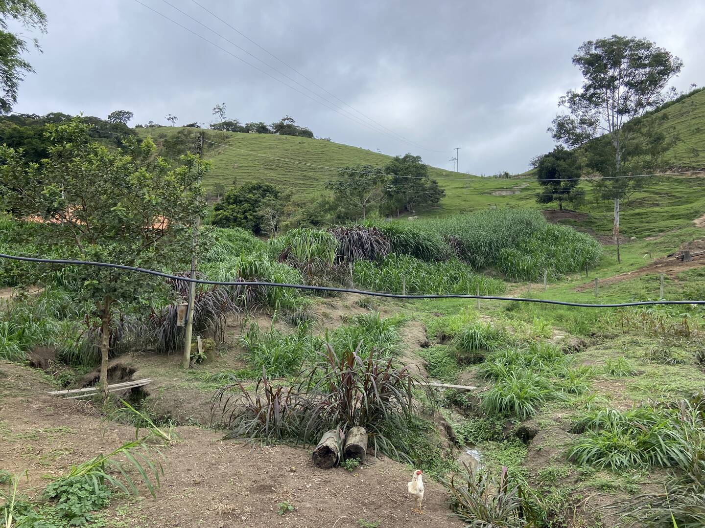 Sítio em São Luiz do Paraitinga/São Paulo — Ref PI5HGR — Imagem 47
