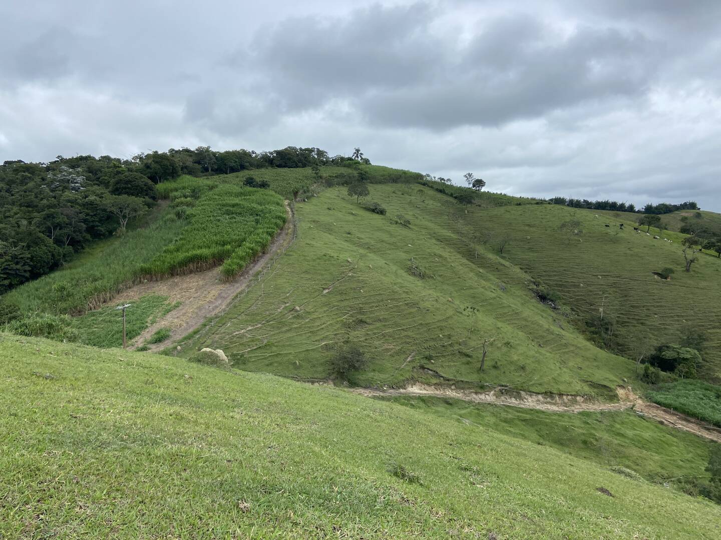 Sítio em São Luiz do Paraitinga/São Paulo — Ref PI5HGR — Imagem 49