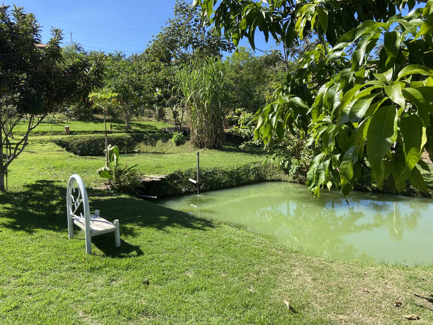 Chácara em Caçapava/São Paulo — Ref M8GXB9 — Imagem 11