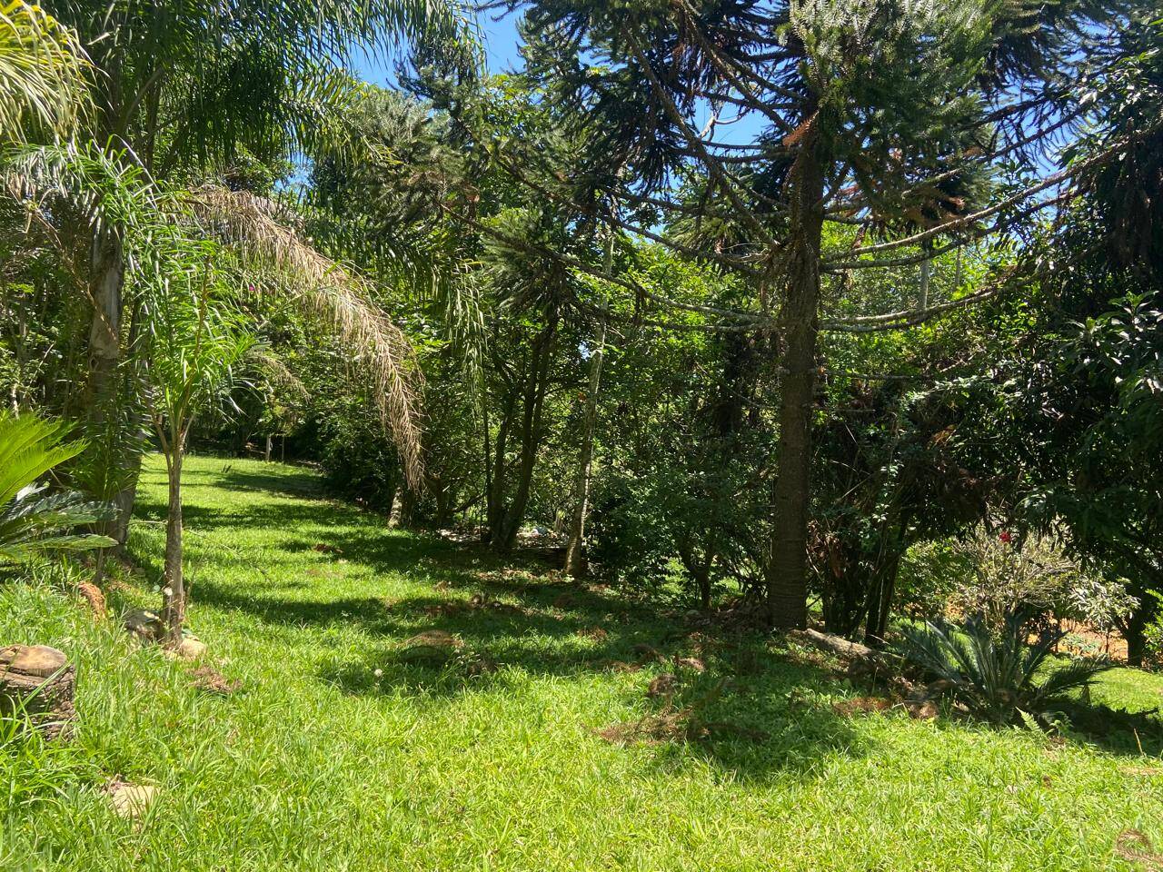 Sítio em São José dos Campos/São Paulo — Ref AUWSV0 — Imagem 5