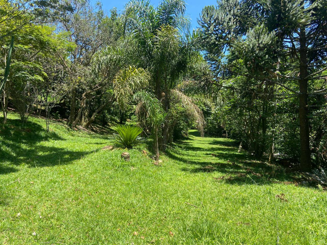 Sítio em São José dos Campos/São Paulo — Ref AUWSV0 — Imagem 6