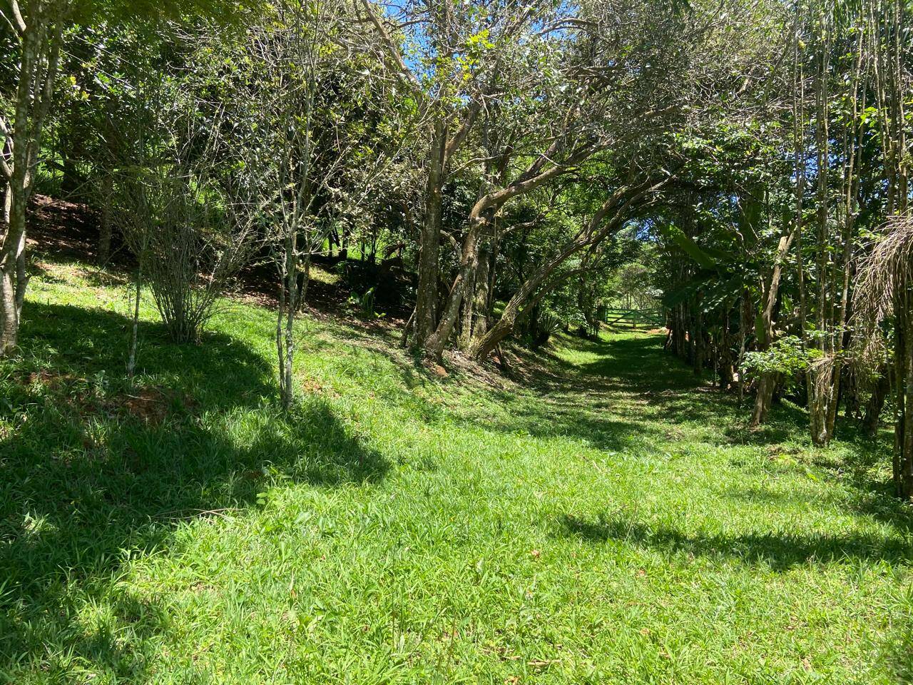 Sítio em São José dos Campos/São Paulo — Ref AUWSV0 — Imagem 14