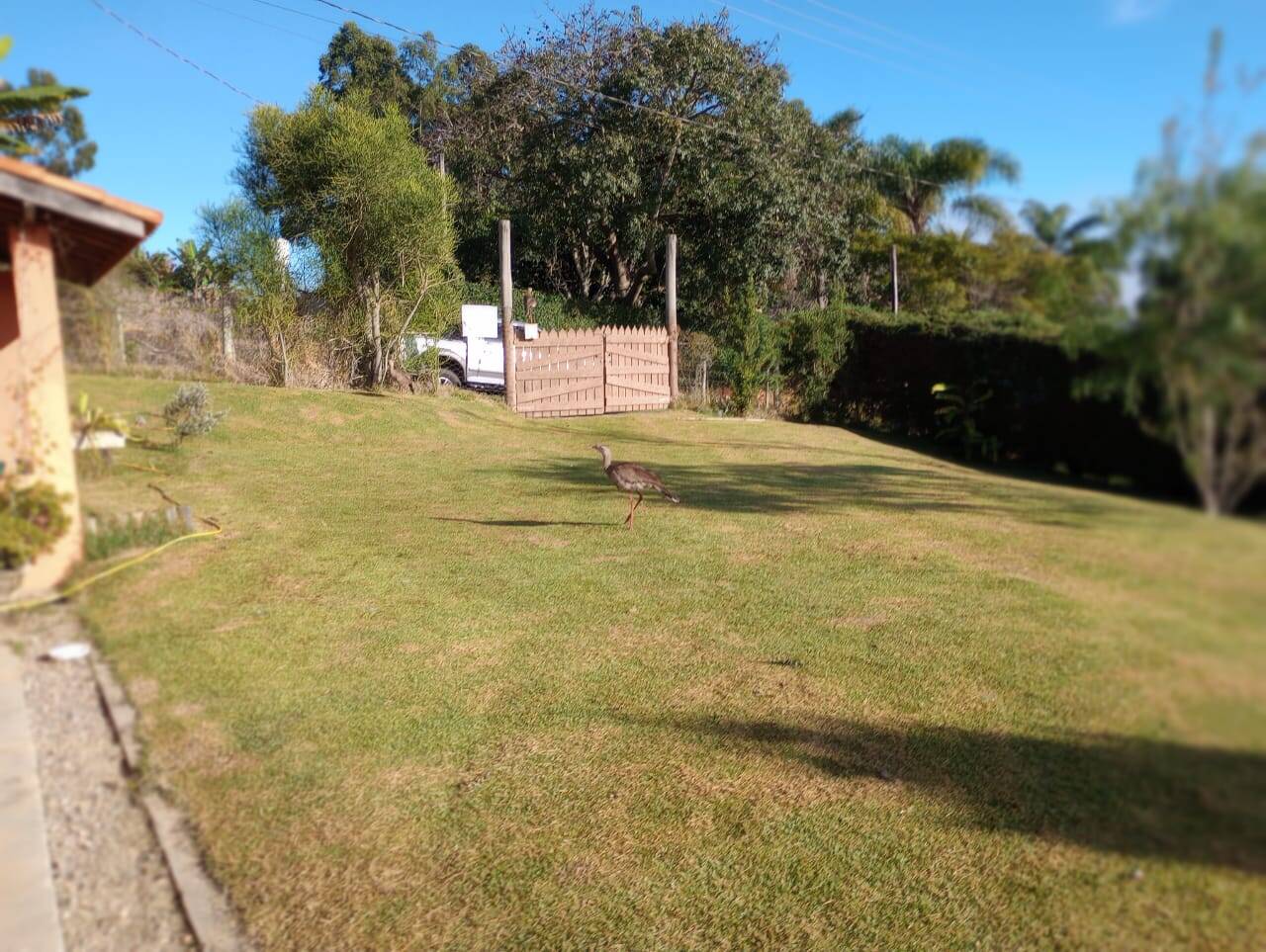 Chácara em Paraibuna/São Paulo — Ref 3GEFRU — Imagem 10