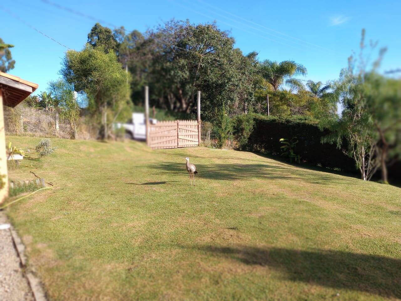 Chácara em Paraibuna/São Paulo — Ref 3GEFRU — Imagem 13