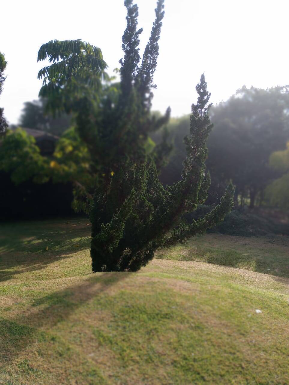 Chácara em Paraibuna/São Paulo — Ref 3GEFRU — Imagem 27