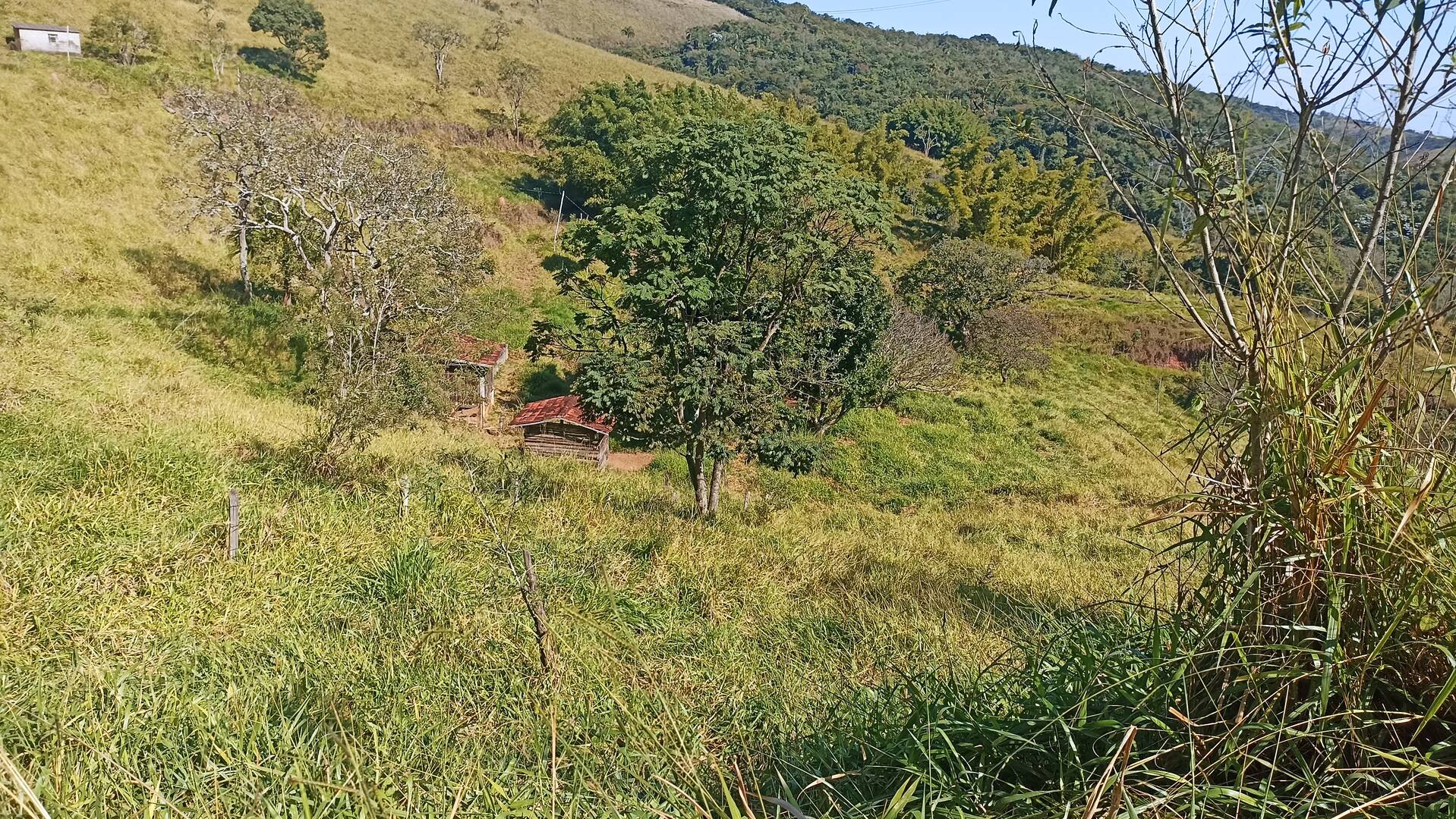 Sítio em Taubaté/São Paulo — Ref XCJH7Z — Imagem 19