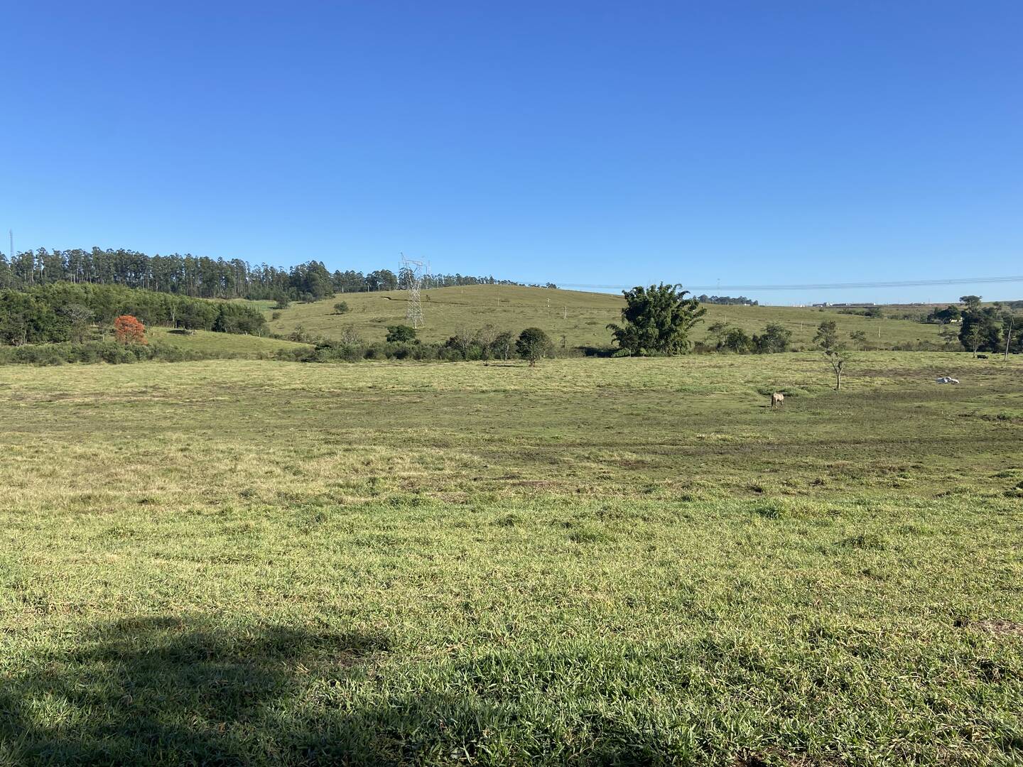 Sítio em Caçapava/São Paulo — Ref Z32887 — Imagem 2