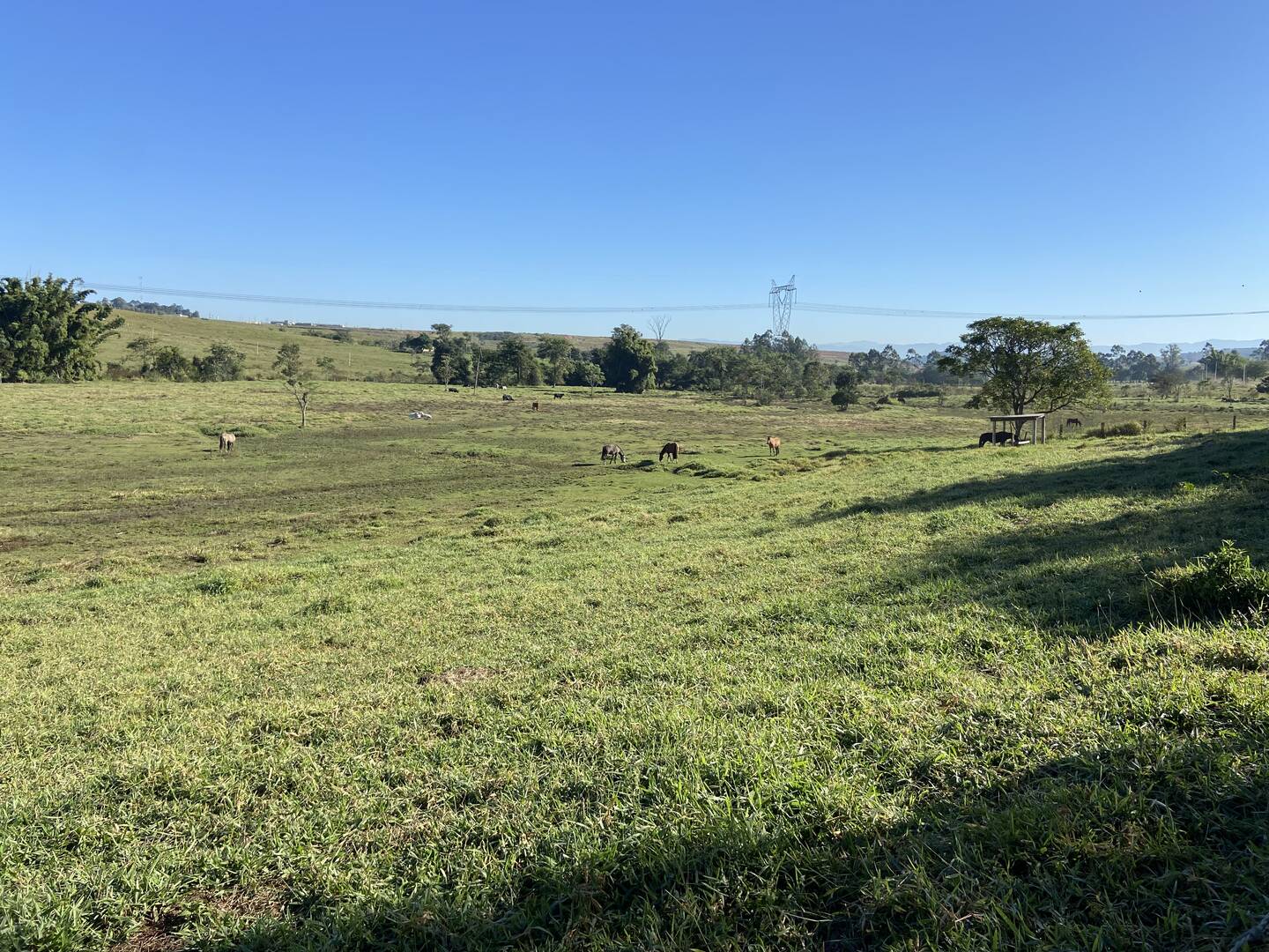 Sítio em Caçapava/São Paulo — Ref Z32887 — Imagem 3