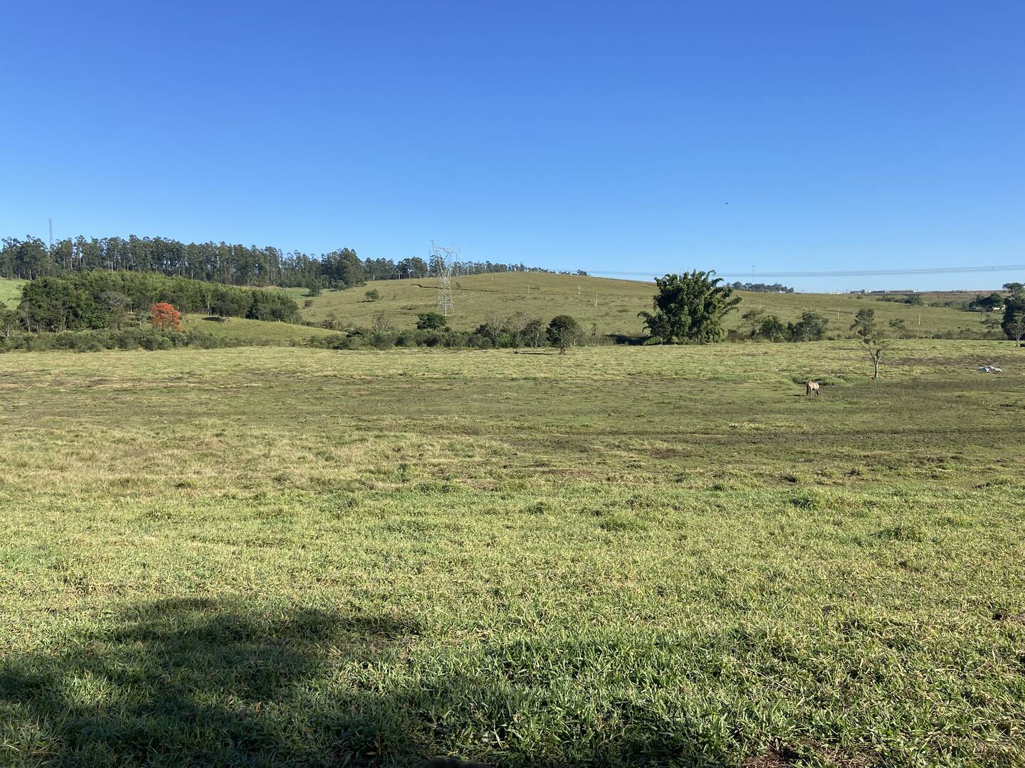 Sítio em Caçapava/São Paulo — Ref Z32887 — Imagem 9