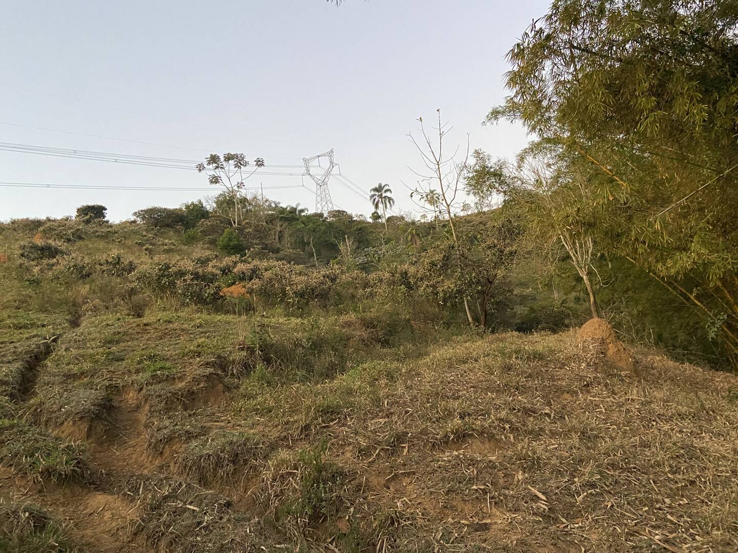 Sítio em São José dos Campos/São Paulo — Ref 31JOKX — Imagem 2