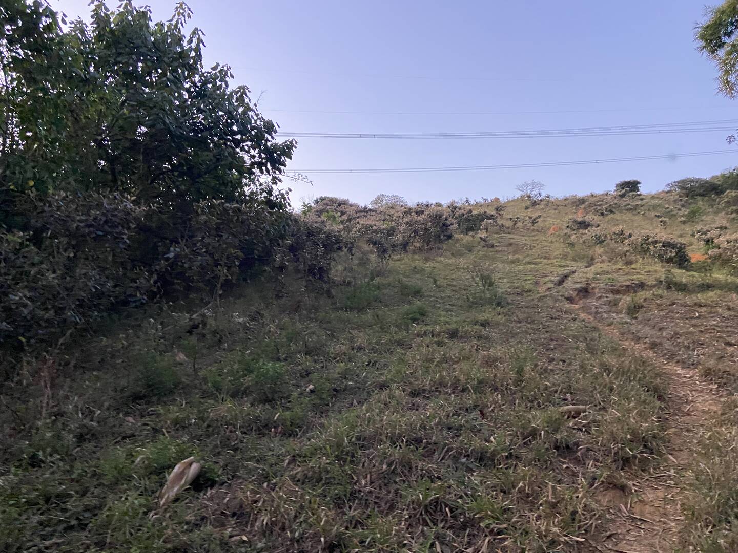 Sítio em São José dos Campos/São Paulo — Ref 31JOKX — Imagem 4