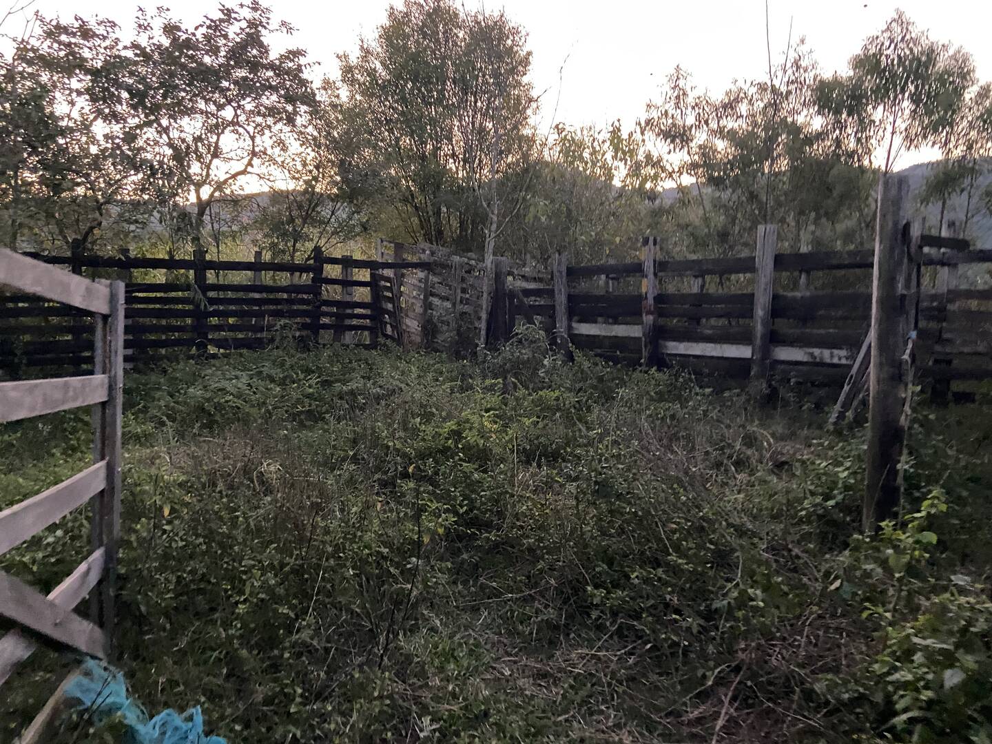 Sítio em São José dos Campos/São Paulo — Ref 31JOKX — Imagem 9