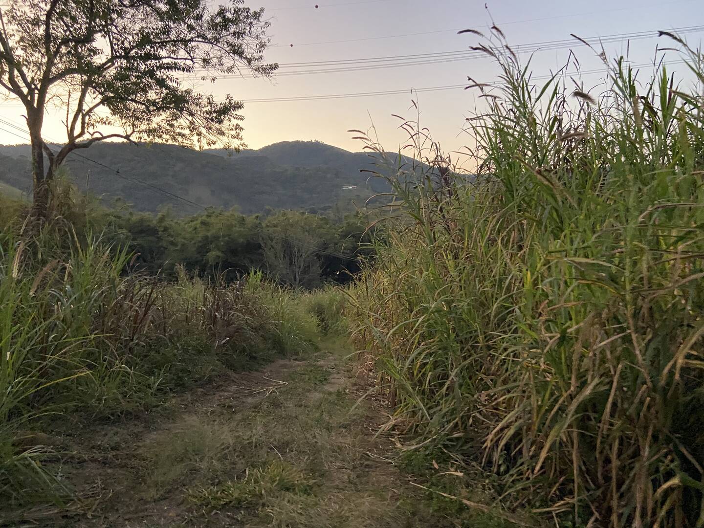 Sítio em São José dos Campos/São Paulo — Ref 31JOKX — Imagem 10