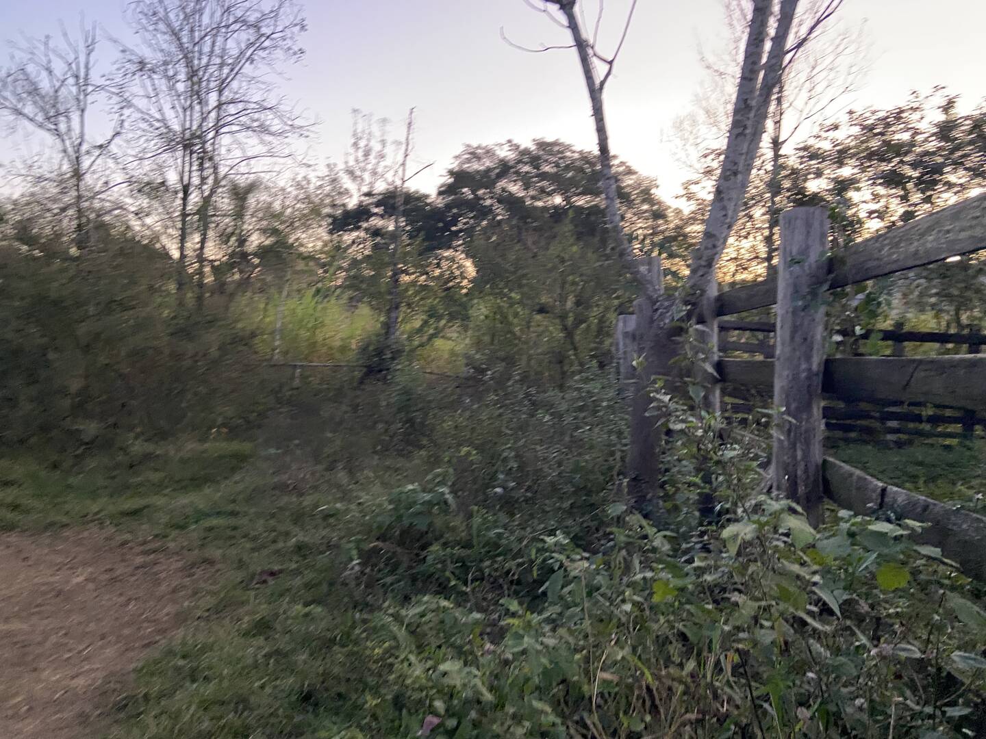 Sítio em São José dos Campos/São Paulo — Ref 31JOKX — Imagem 11