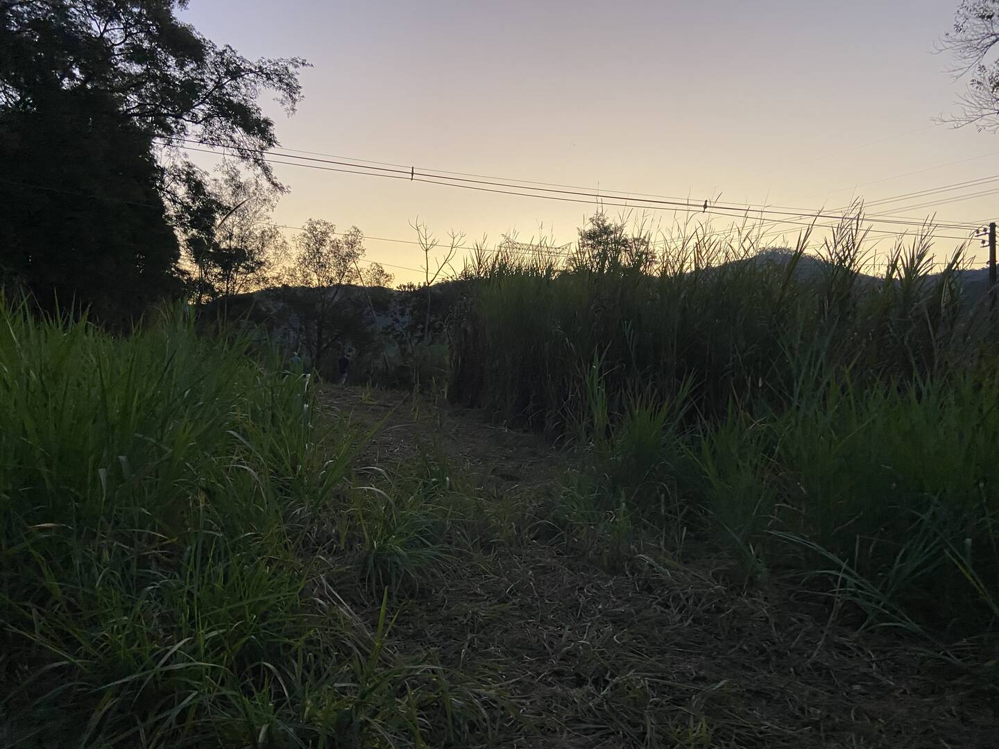 Sítio em São José dos Campos/São Paulo — Ref 31JOKX — Imagem 13