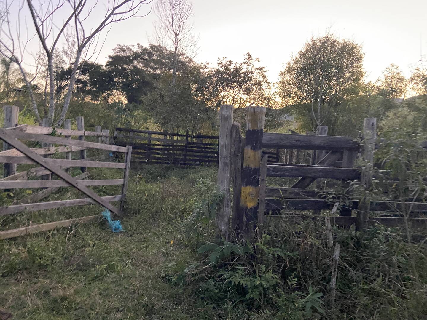 Sítio em São José dos Campos/São Paulo — Ref 31JOKX — Imagem 15