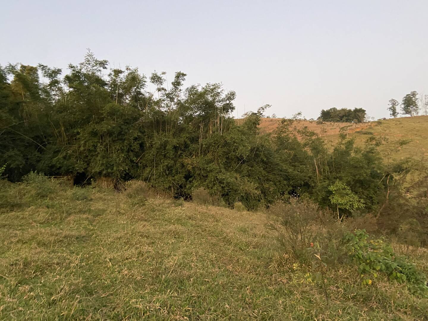 Sítio em São José dos Campos/São Paulo — Ref 31JOKX — Imagem 19