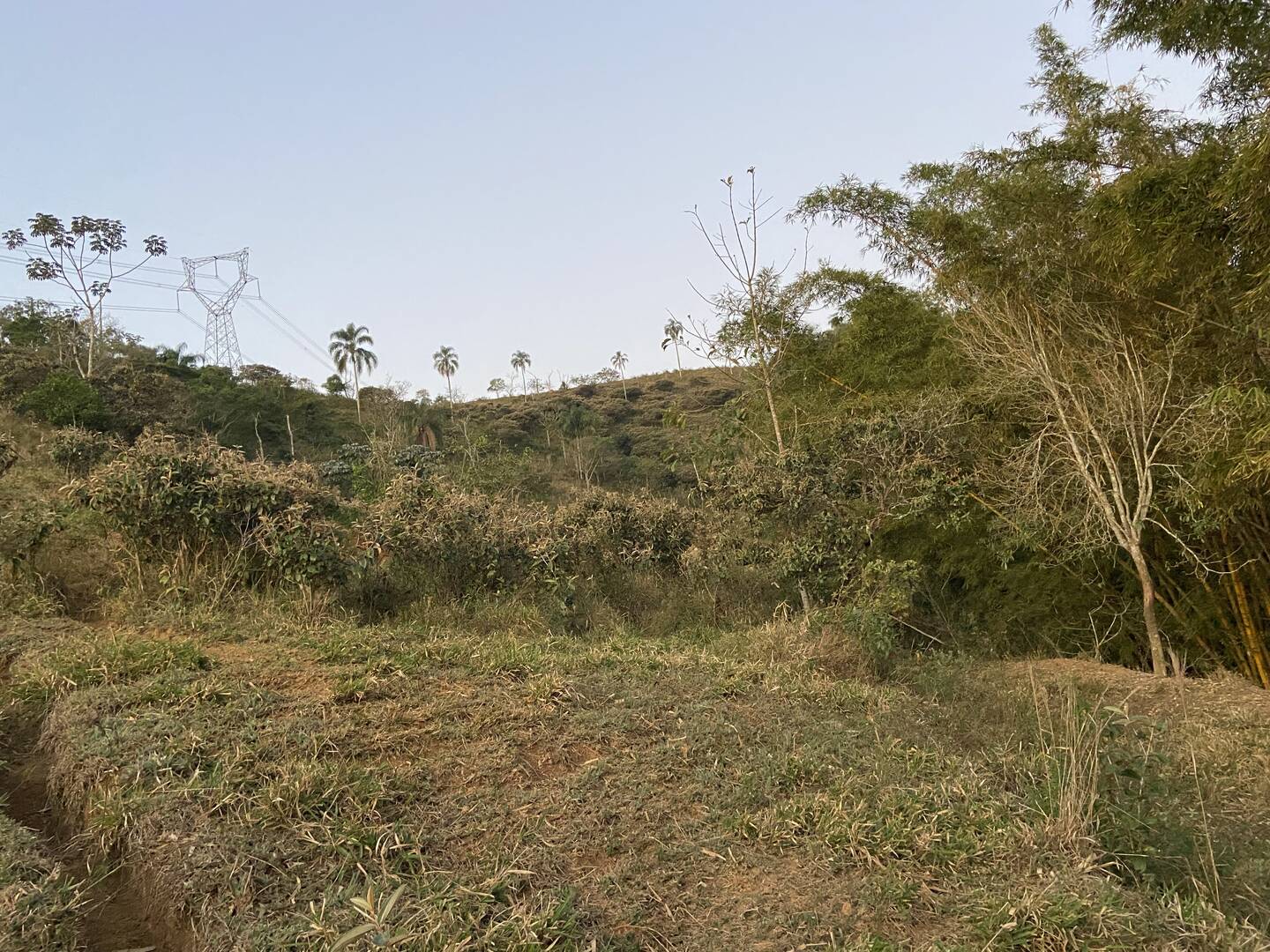 Sítio em São José dos Campos/São Paulo — Ref 31JOKX — Imagem 20