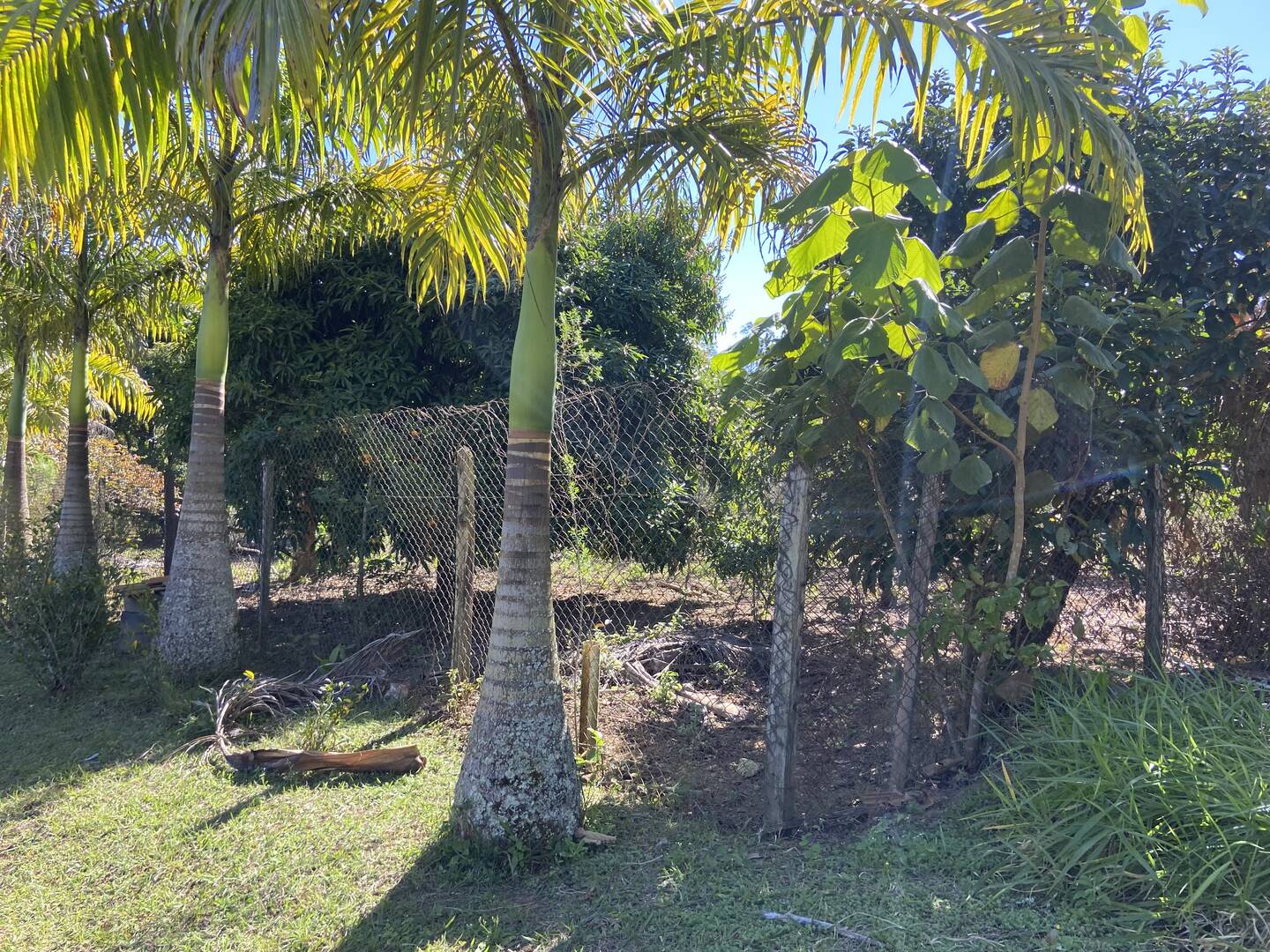 Imóvel rural em Monteiro Lobato/São Paulo — Ref H4WHTV1