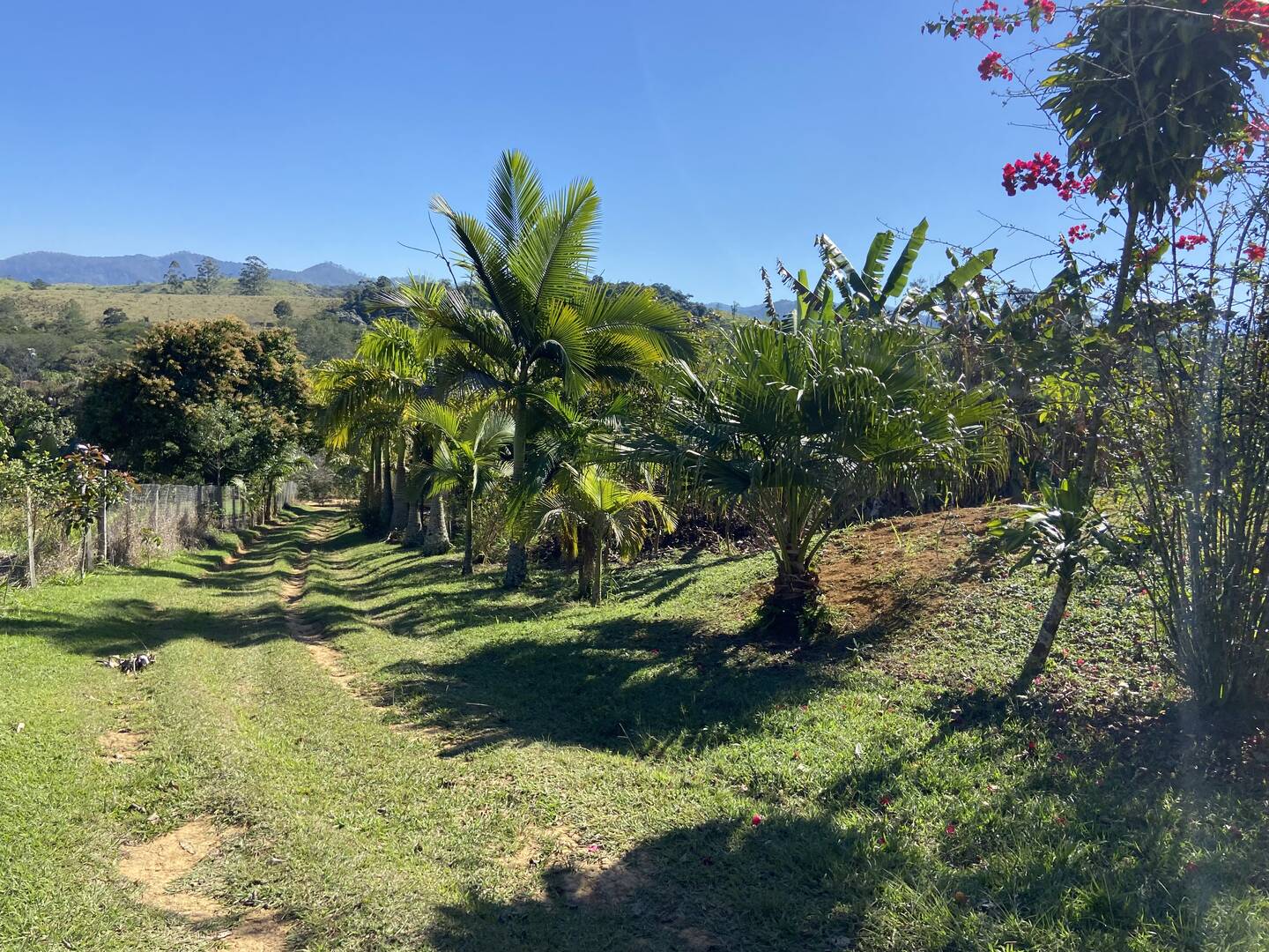 Chácara em Monteiro Lobato/São Paulo — Ref H4WHTV — Imagem 4