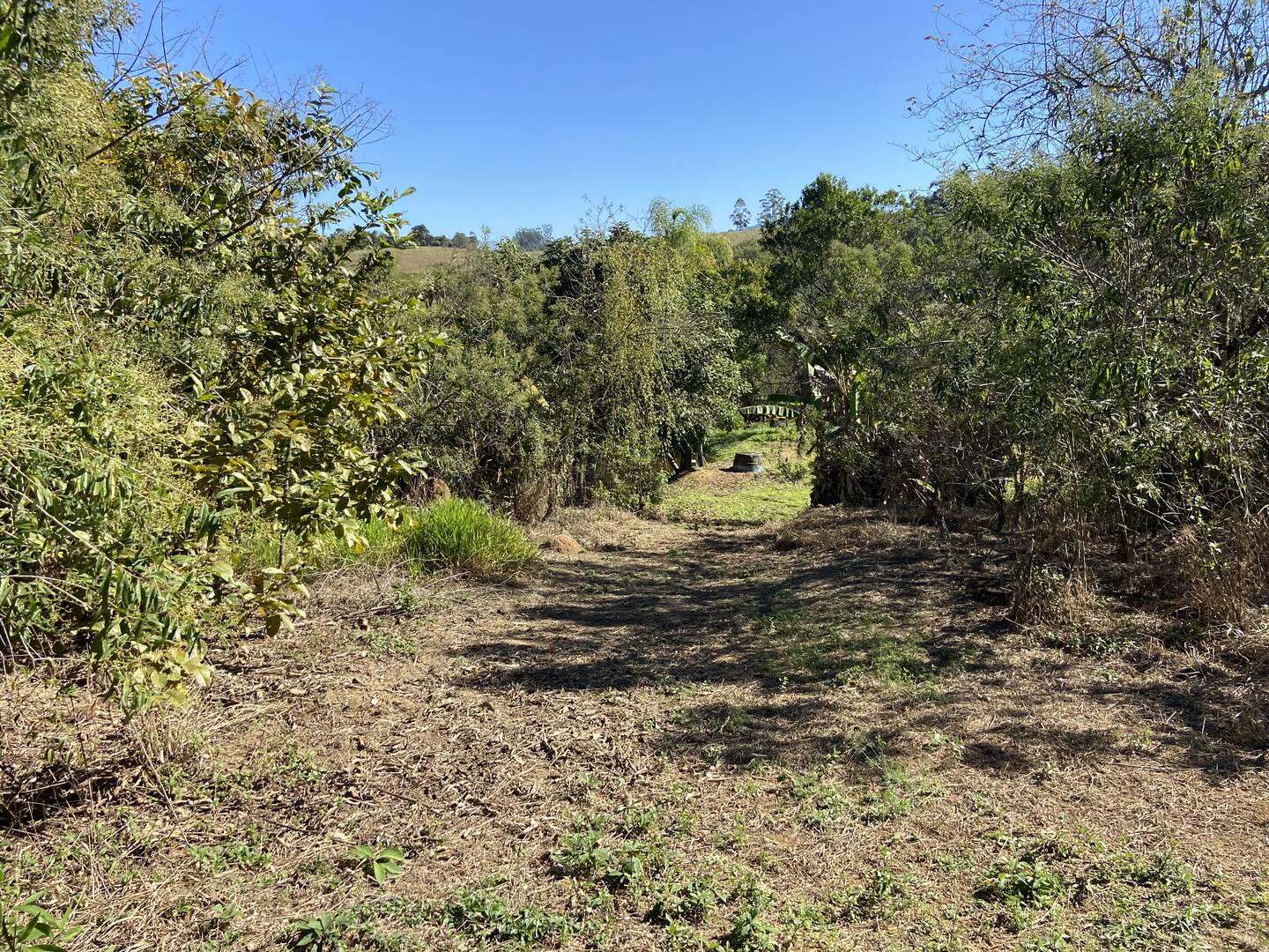 Chácara em Monteiro Lobato/São Paulo — Ref H4WHTV — Imagem 7