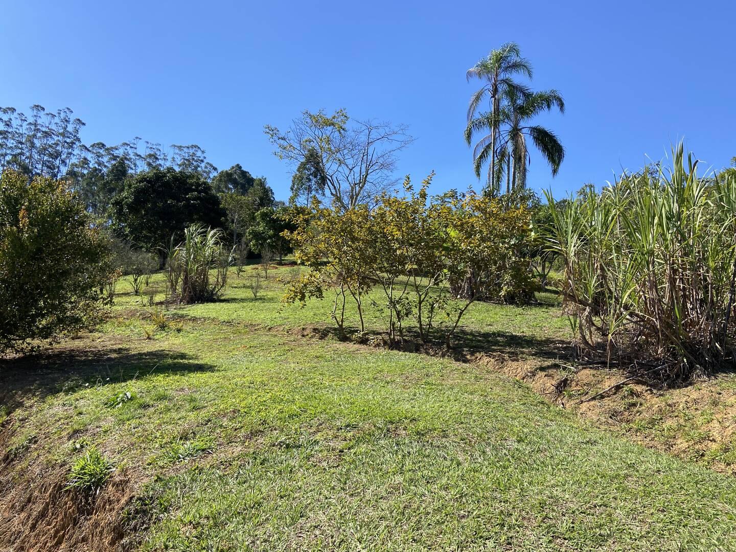 Chácara em Monteiro Lobato/São Paulo — Ref H4WHTV — Imagem 13