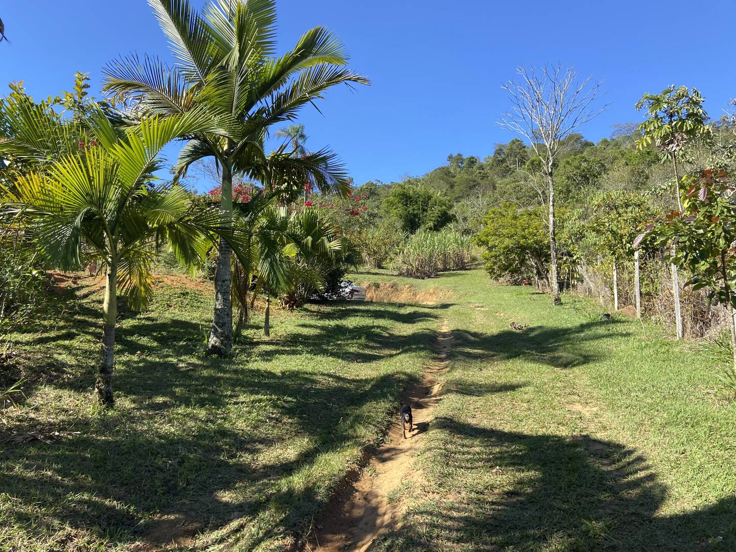 Chácara em Monteiro Lobato/São Paulo — Ref H4WHTV — Imagem 20