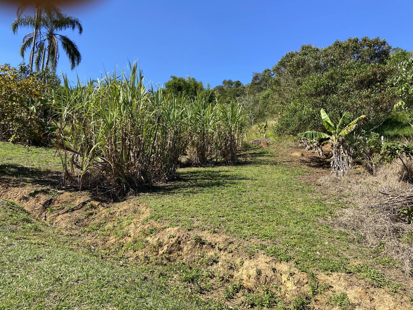 Chácara em Monteiro Lobato/São Paulo — Ref H4WHTV — Imagem 26