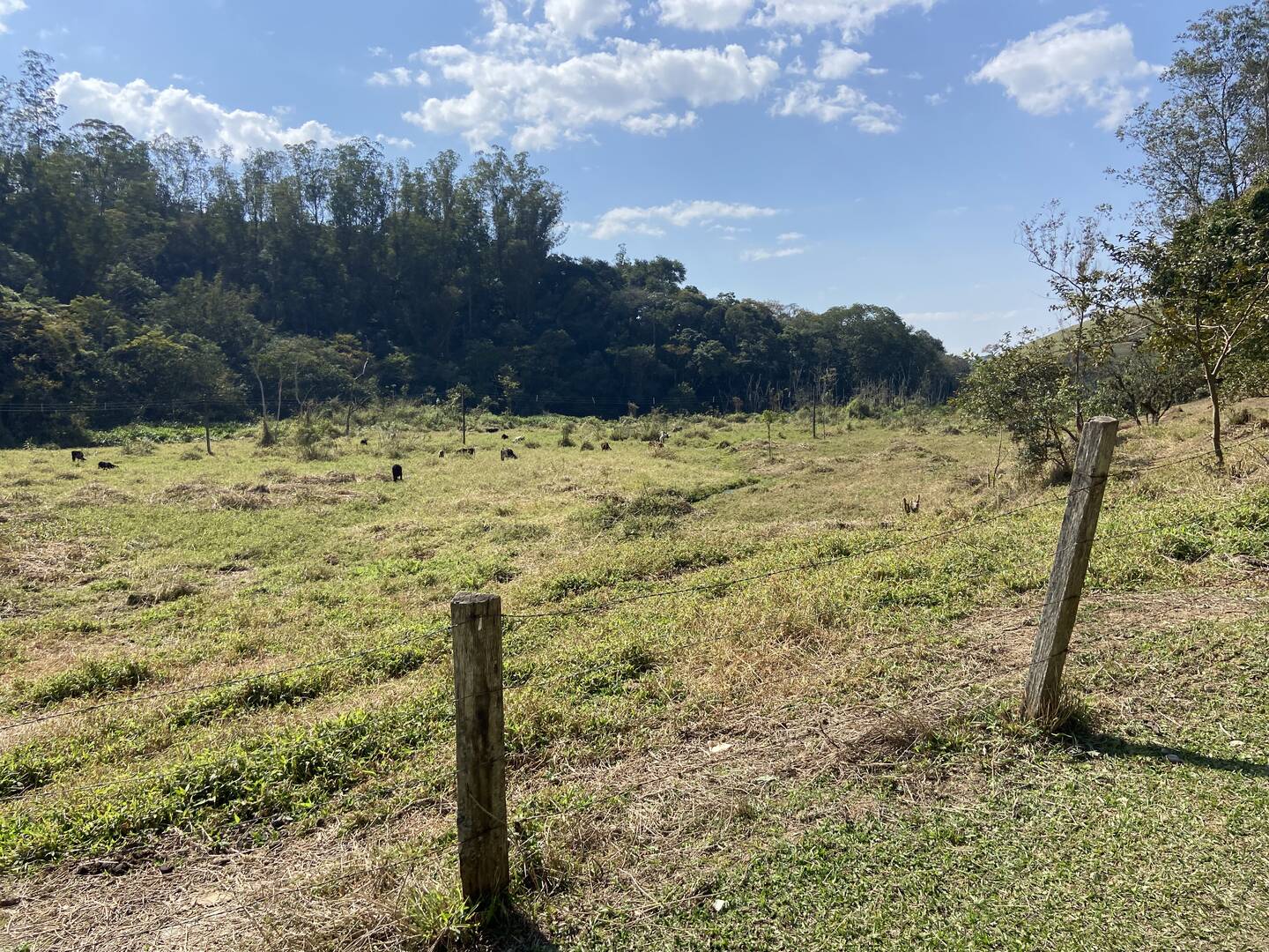 Sítio em São José dos Campos/São Paulo — Ref Q1U4Z0 — Imagem 64
