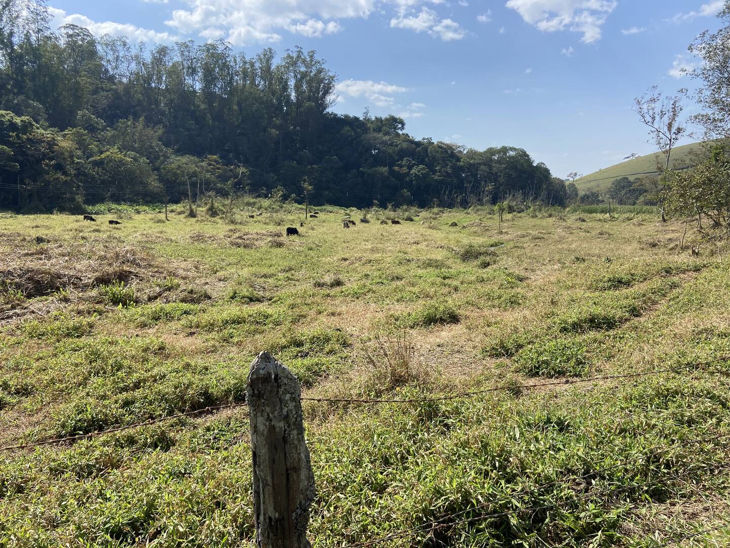 Sítio em São José dos Campos/São Paulo — Ref Q1U4Z0 — Imagem 65