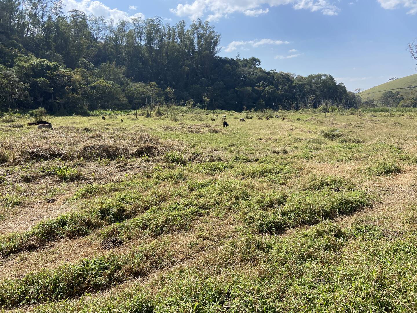 Sítio em São José dos Campos/São Paulo — Ref Q1U4Z0 — Imagem 70