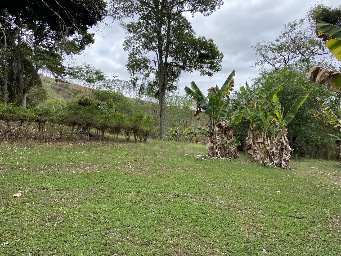 Fazenda em Santa Branca/São Paulo — Ref KNYCES — Imagem 7