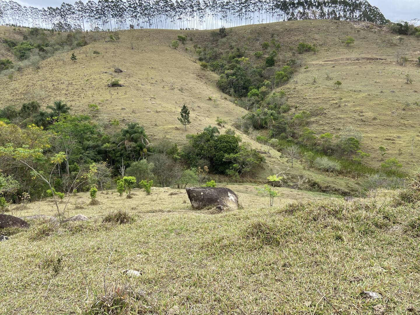 Fazenda em Santa Branca/São Paulo — Ref KNYCES — Imagem 21