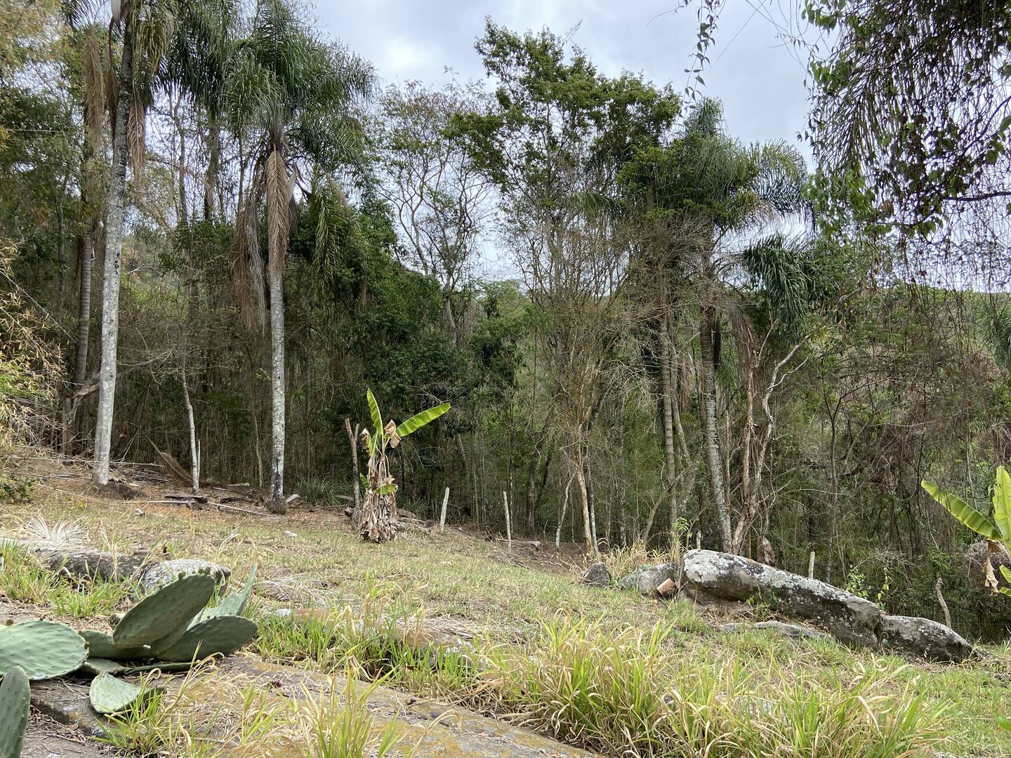 Fazenda em Santa Branca/São Paulo — Ref KNYCES — Imagem 25