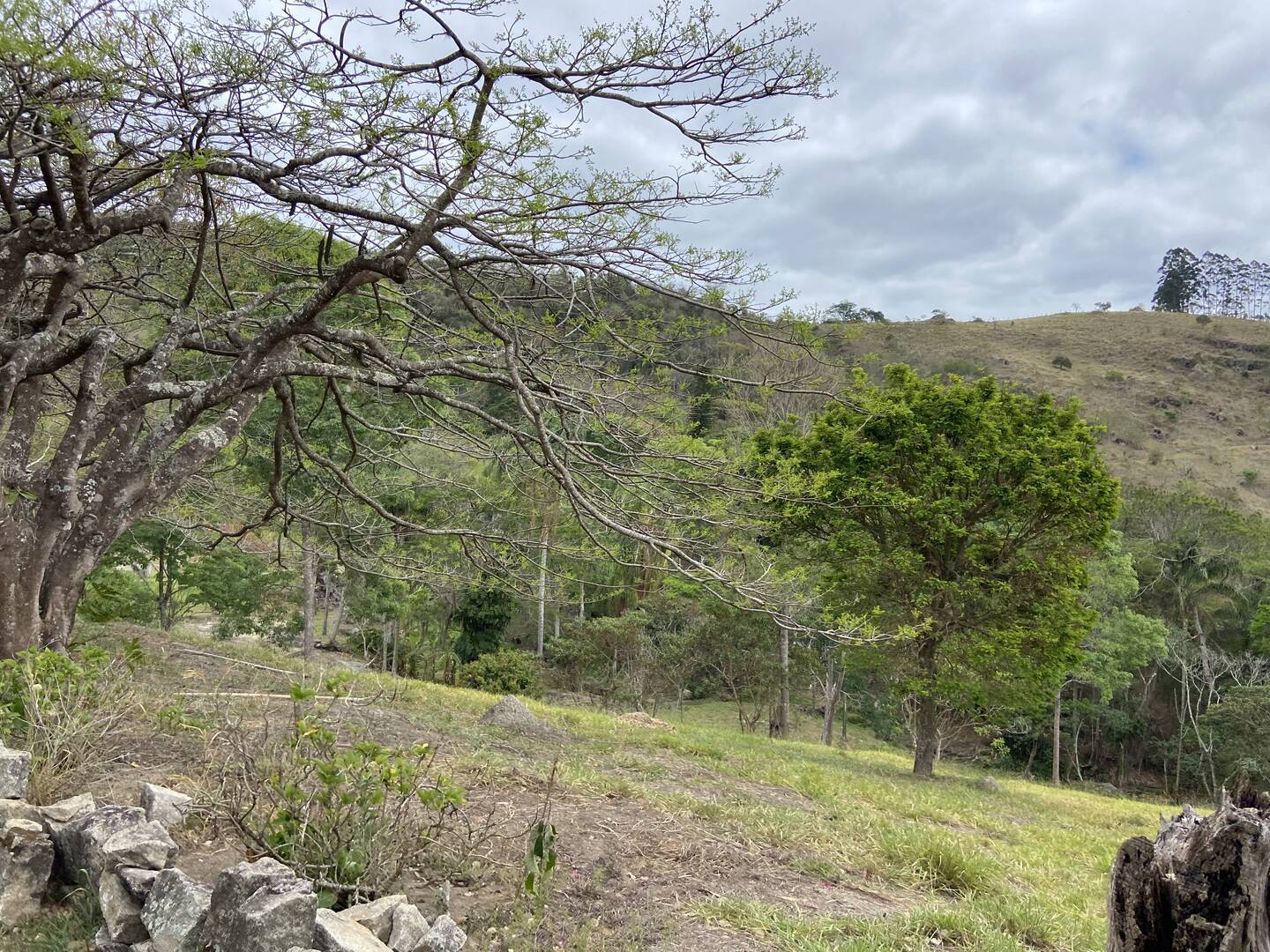 Fazenda em Santa Branca/São Paulo — Ref KNYCES — Imagem 28