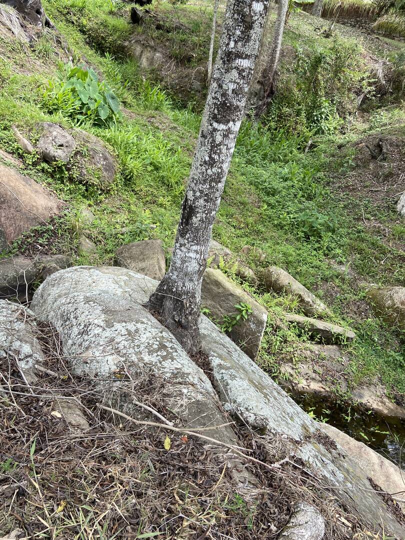 Fazenda em Santa Branca/São Paulo — Ref KNYCES — Imagem 35