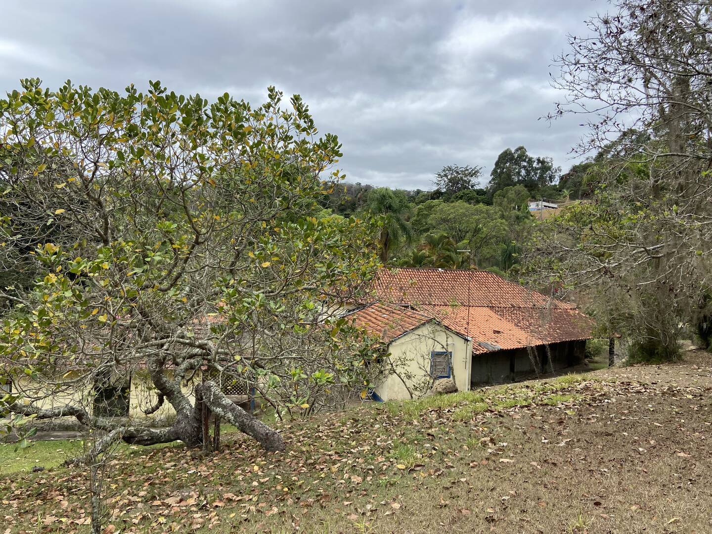 Fazenda em Santa Branca/São Paulo — Ref KNYCES — Imagem 38