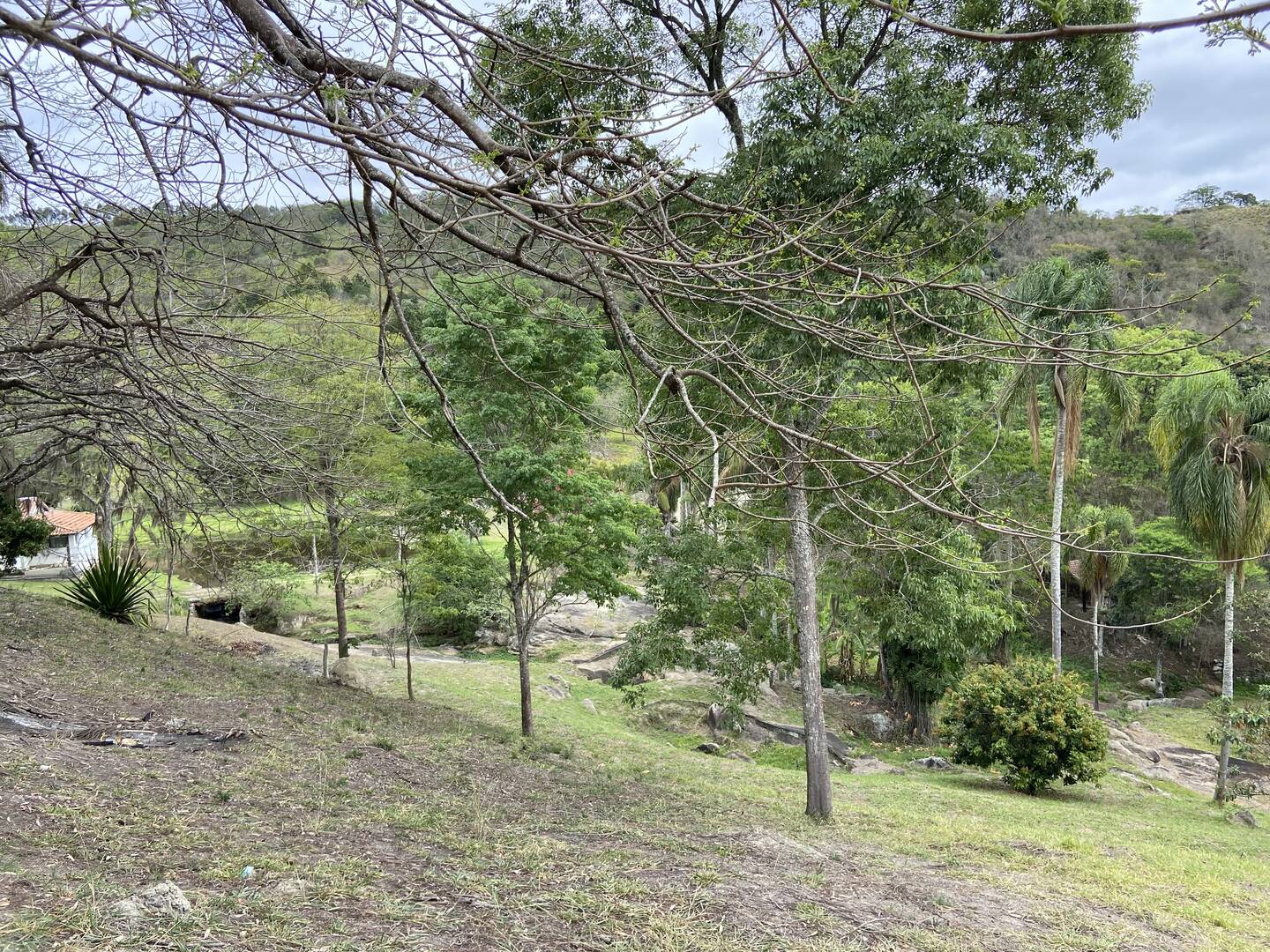 Fazenda em Santa Branca/São Paulo — Ref KNYCES — Imagem 39
