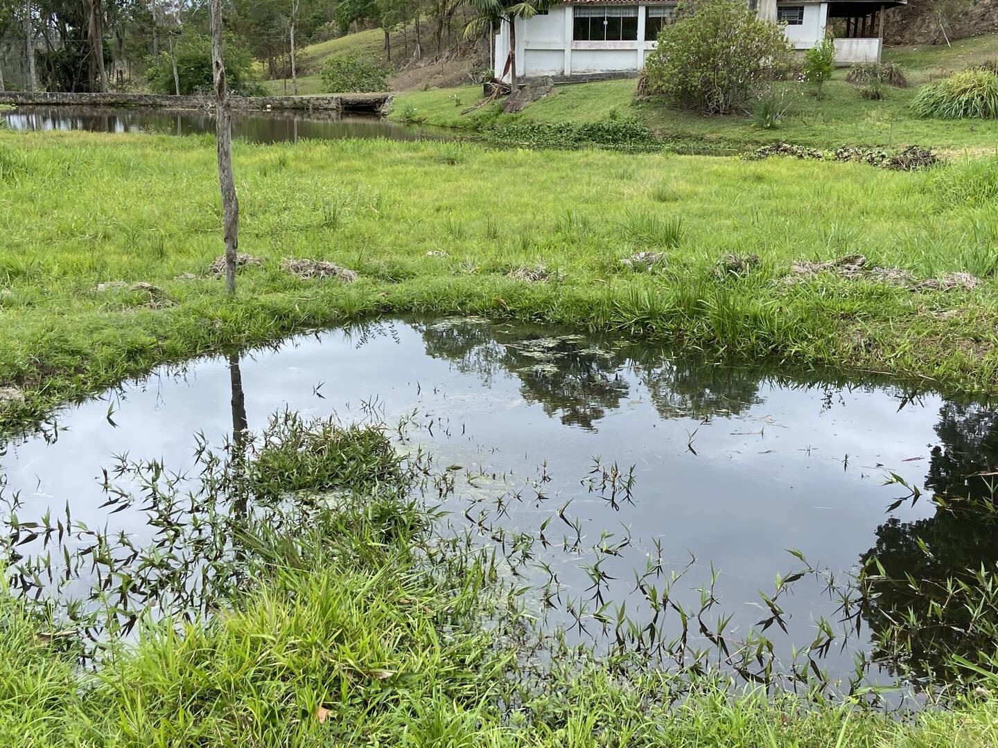 Fazenda em Santa Branca/São Paulo — Ref KNYCES — Imagem 59