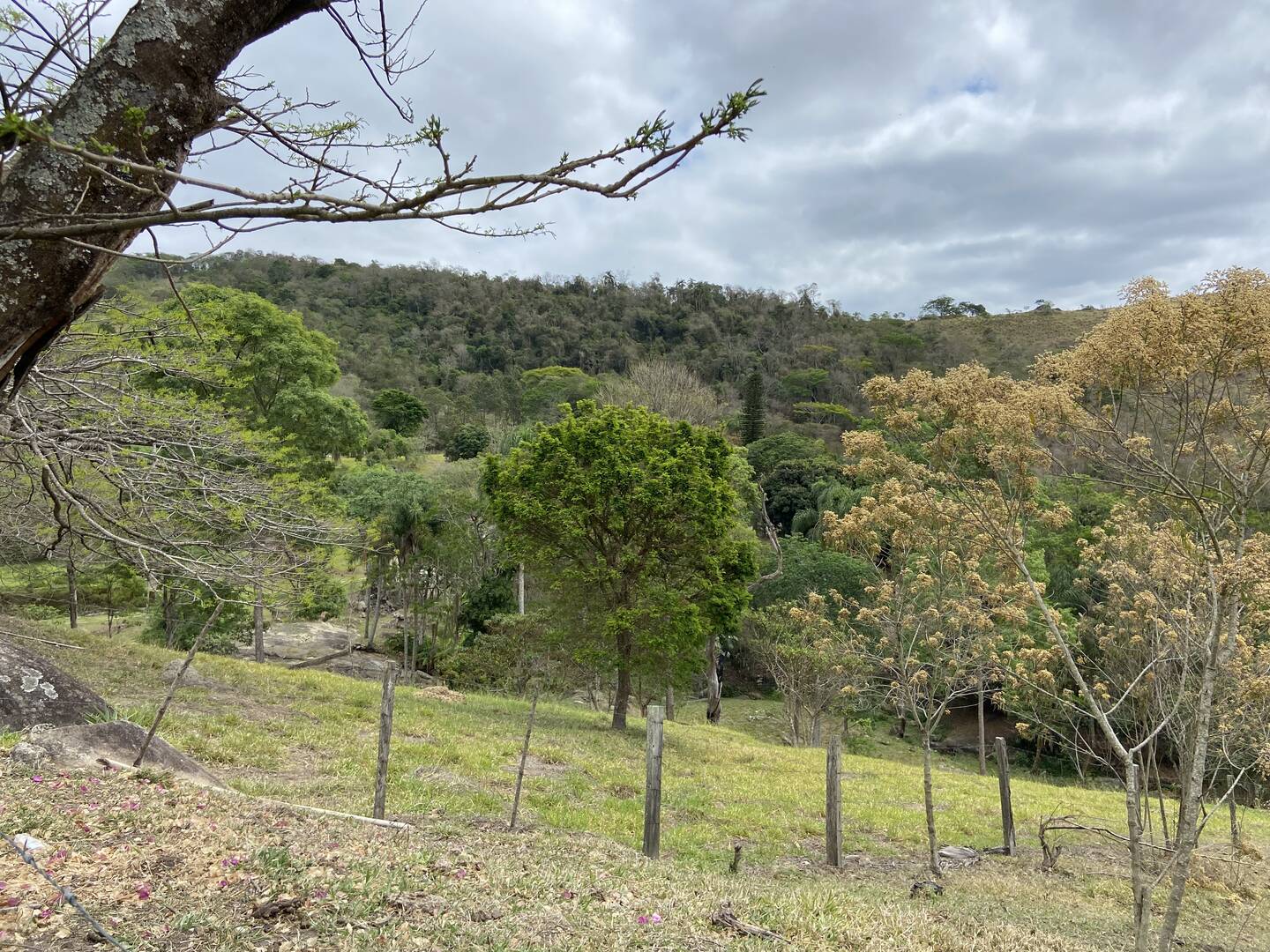 Fazenda em Santa Branca/São Paulo — Ref KNYCES — Imagem 60