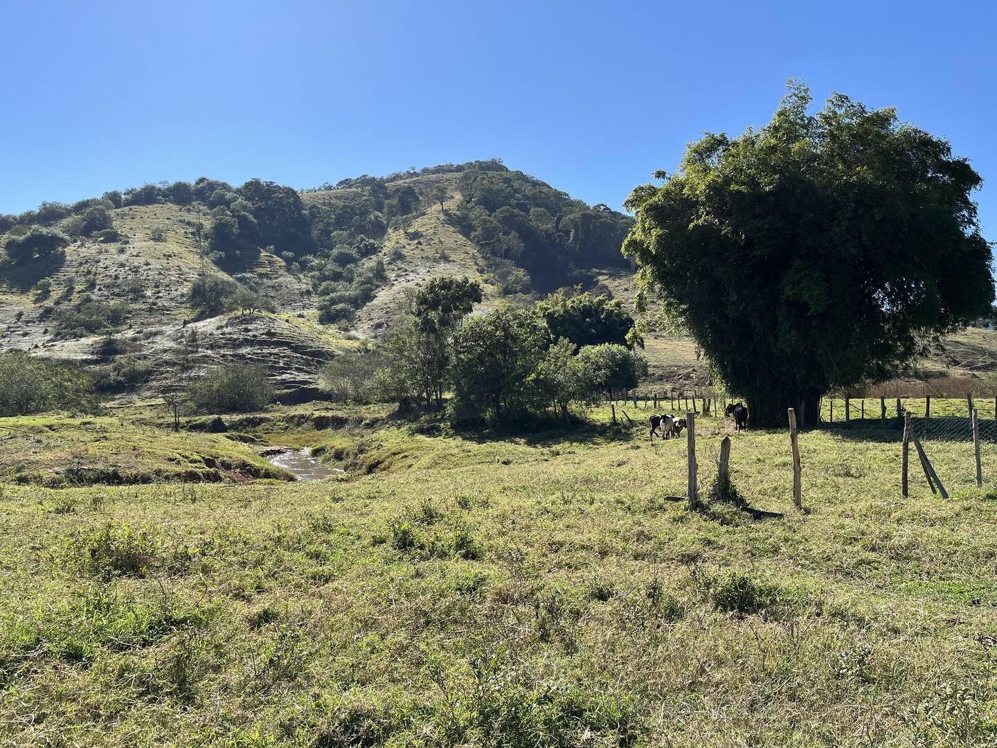 Sítio em Taubaté/São Paulo — Ref WKRLGT — Imagem 6