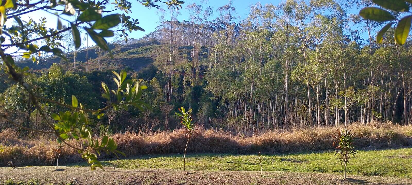 Sítio em Paraibuna/São Paulo — Ref 26OBPQ — Imagem 11