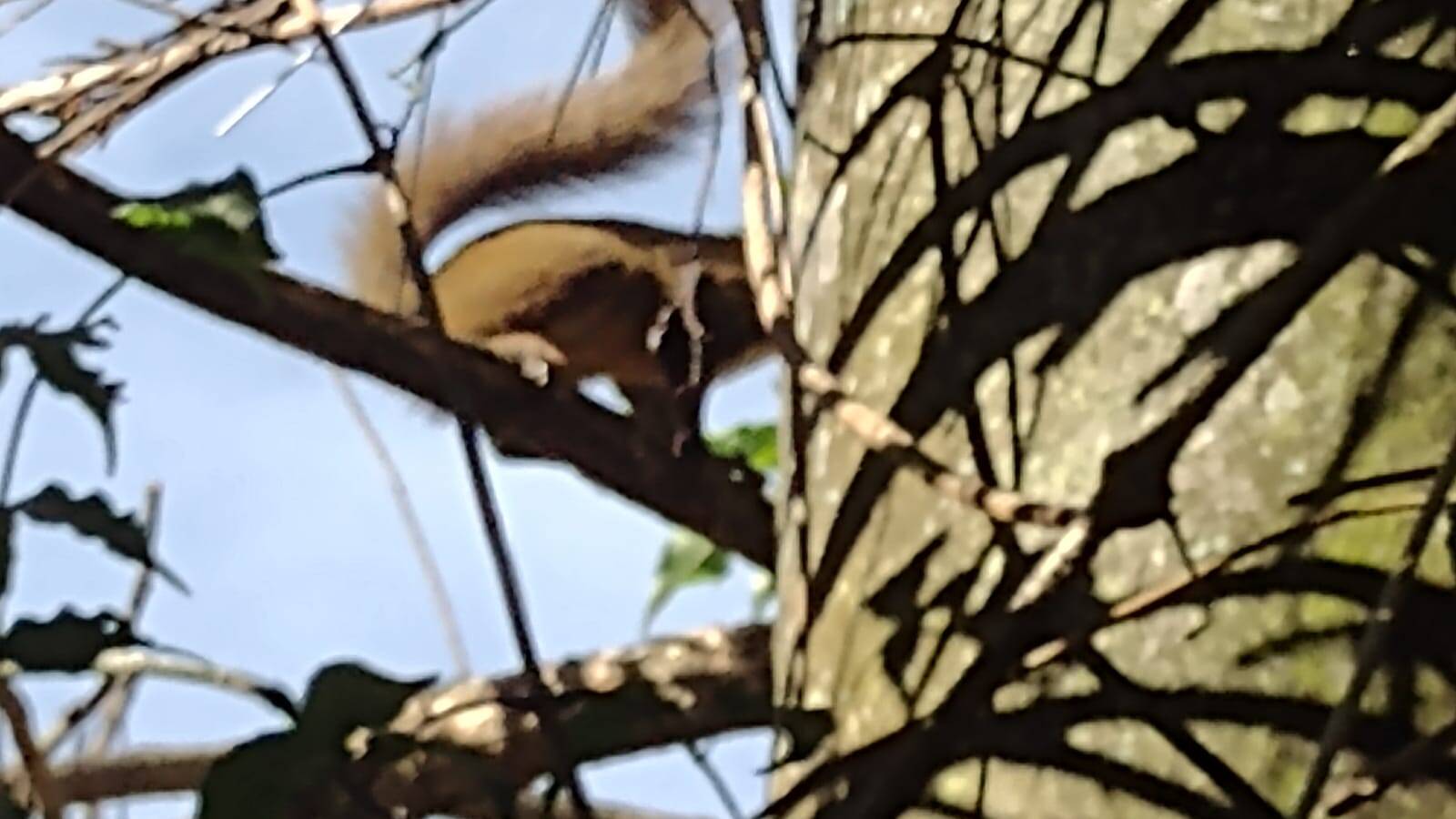 Sítio em Biritiba Mirim/São Paulo — Ref X6OCOC — Imagem 23