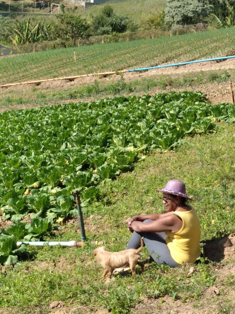 Sítio em Biritiba Mirim/São Paulo — Ref X6OCOC — Imagem 26