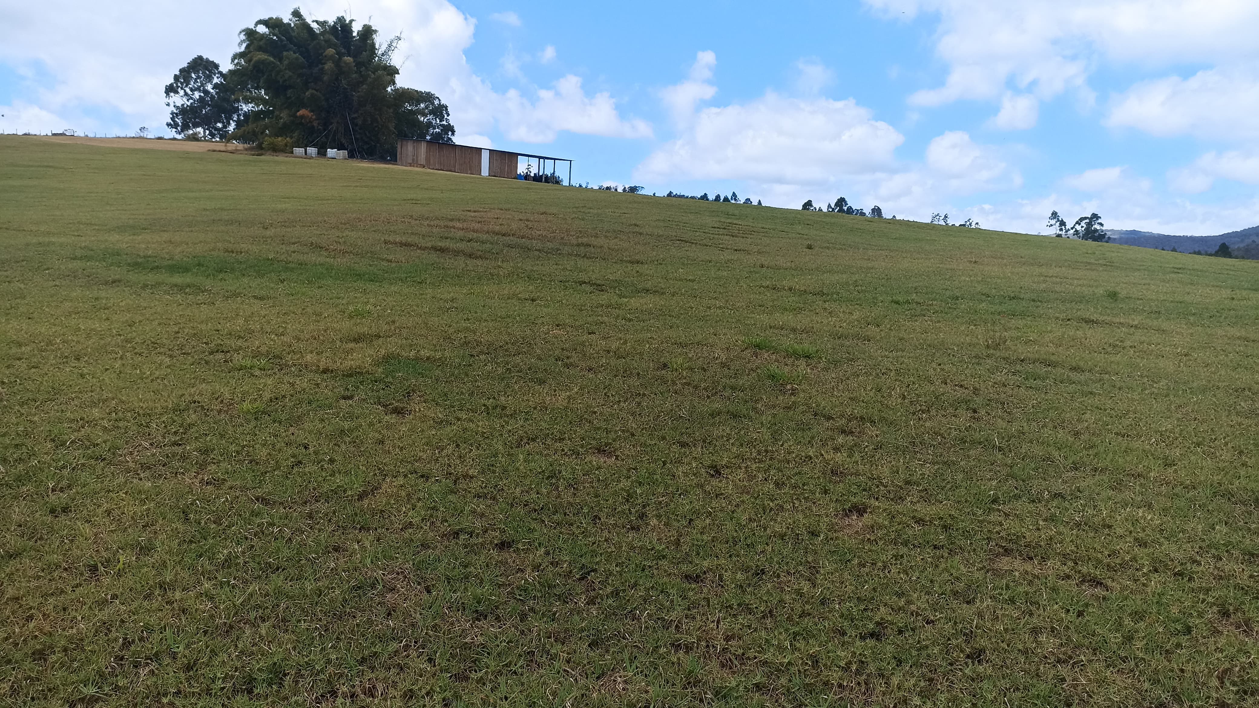 Sítio em Paraibuna/São Paulo — Ref Z39HZE — Imagem 6