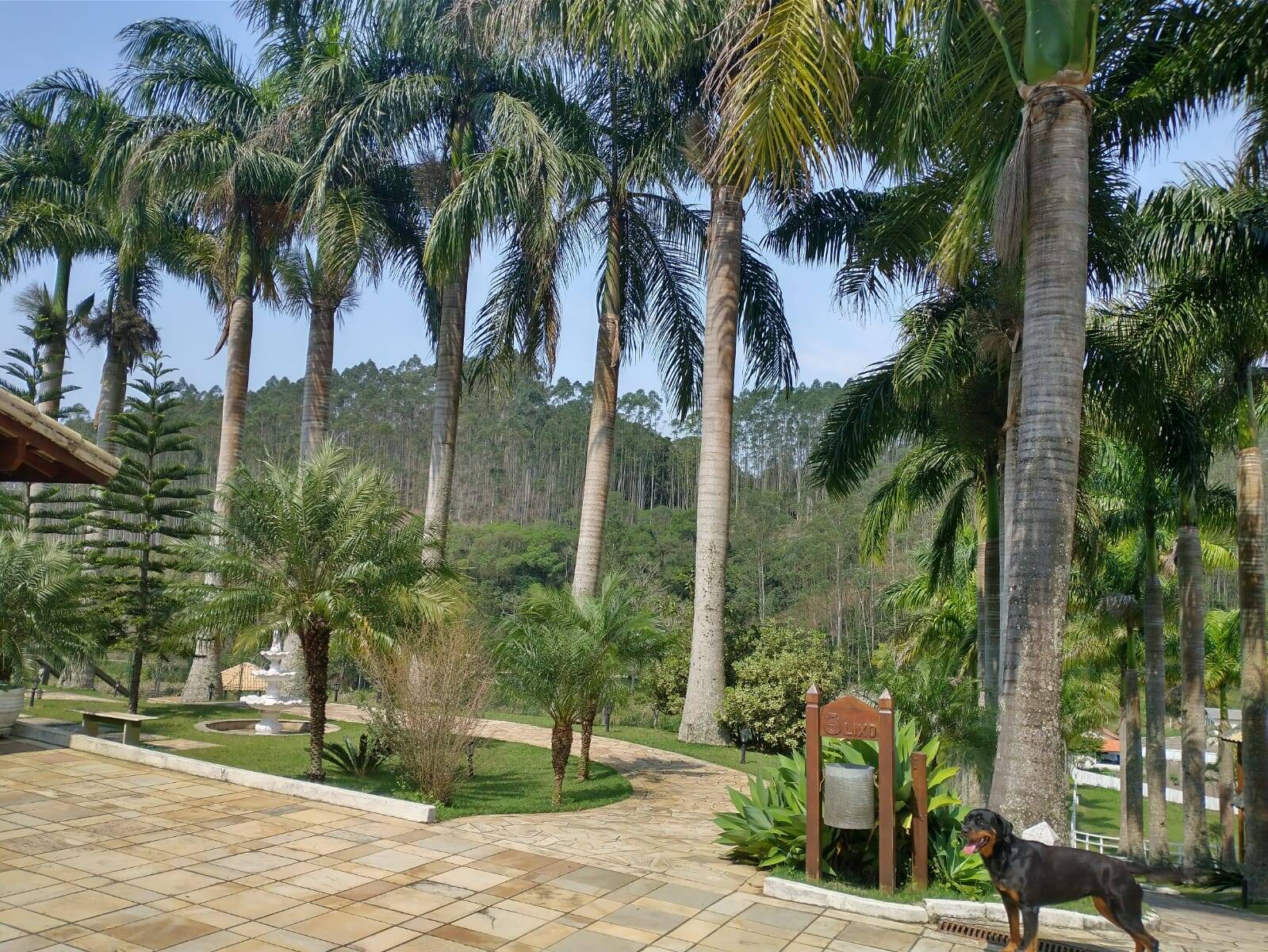 Fazenda em Paraibuna/São Paulo — Ref 4C9K2V — Imagem 14