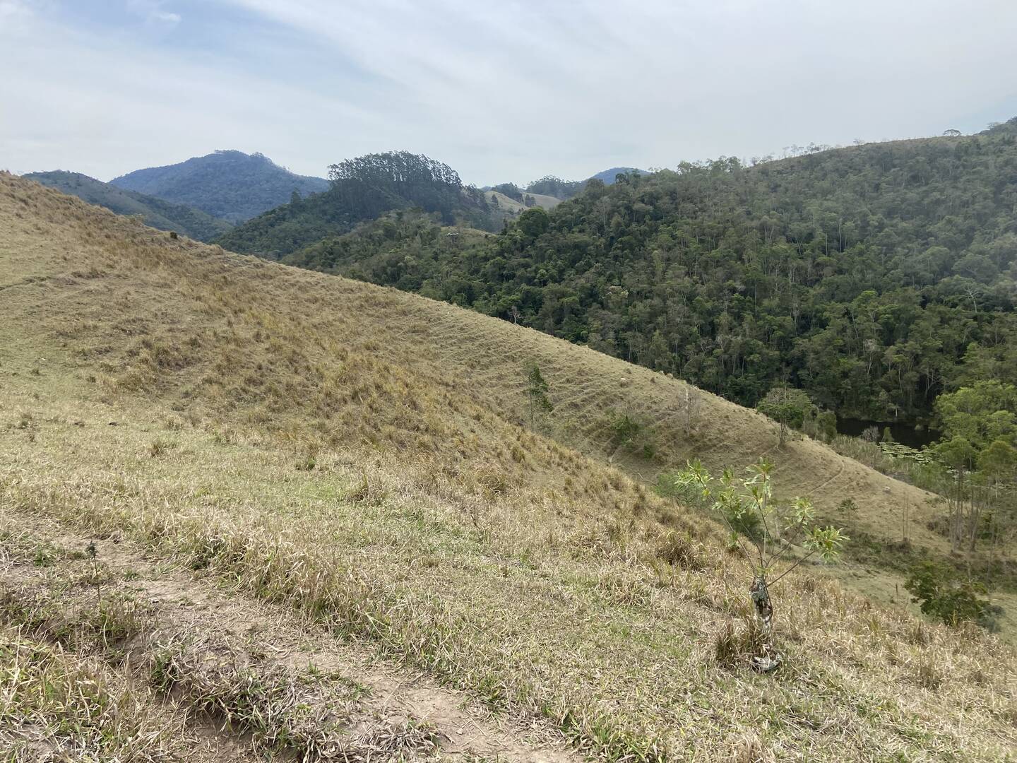 Sítio em São Luíz do Paraitinga/São Paulo — Ref 3DA4ED — Imagem 2