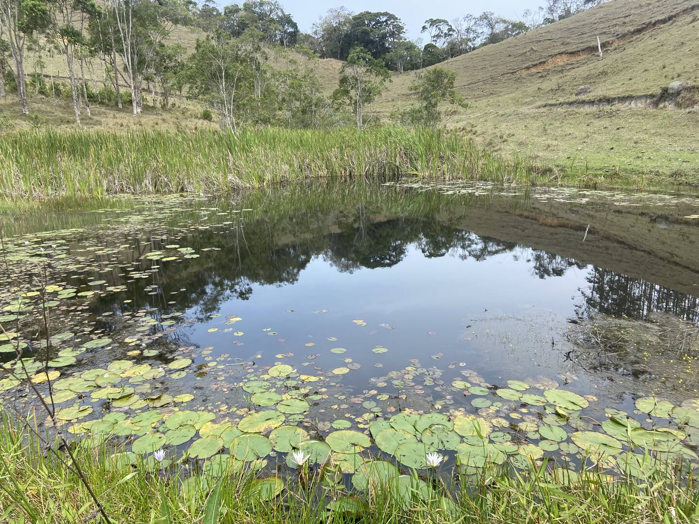 Sítio em São Luíz do Paraitinga/São Paulo — Ref 3DA4ED — Imagem 3