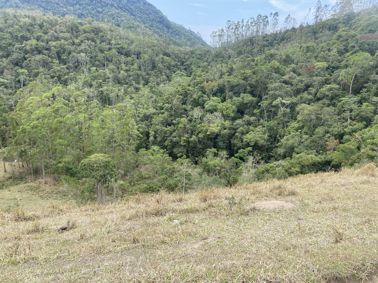 Sítio em São Luíz do Paraitinga/São Paulo — Ref 3DA4ED — Imagem 5