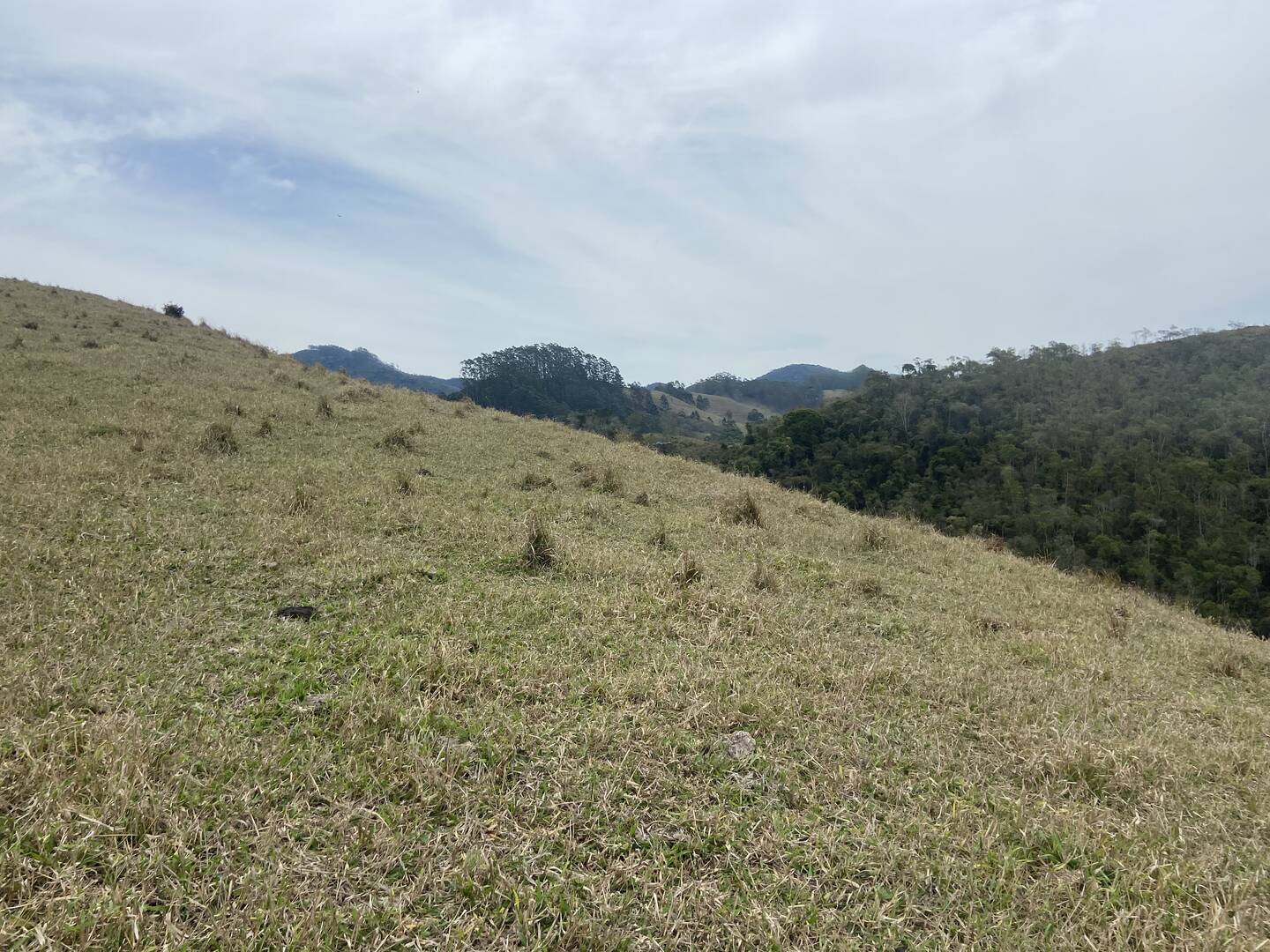 Sítio em São Luíz do Paraitinga/São Paulo — Ref 3DA4ED — Imagem 6